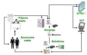 organizacija